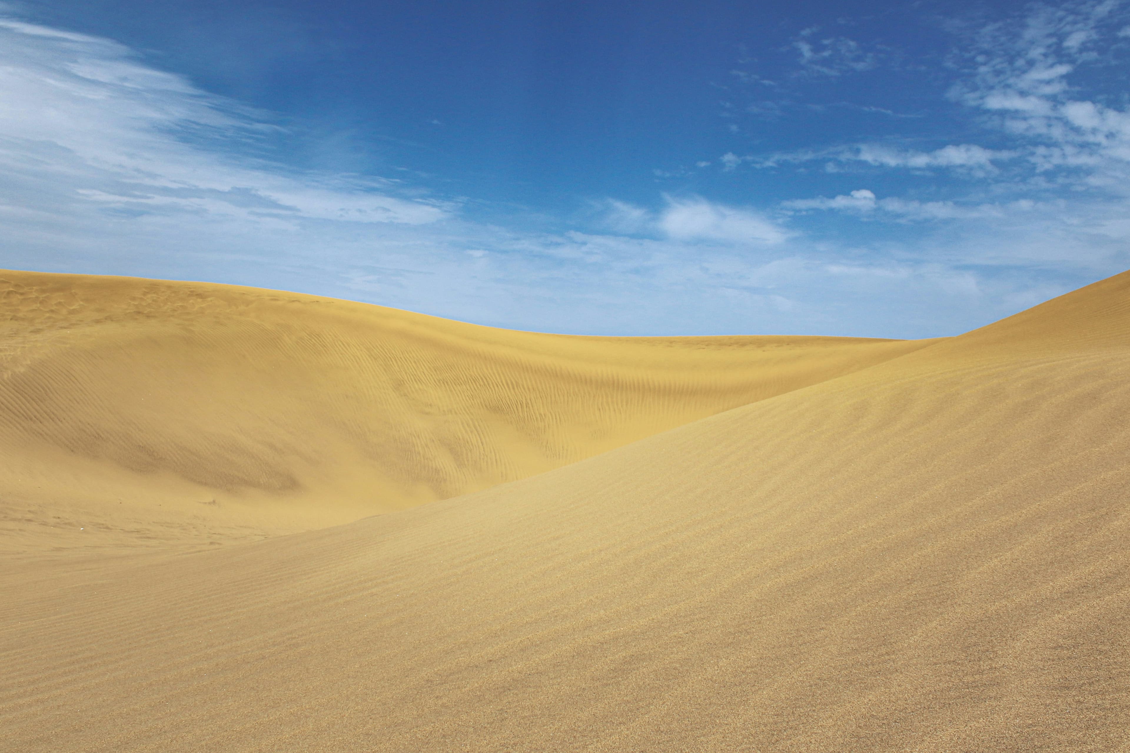 Top-Rated in Gran Canaria