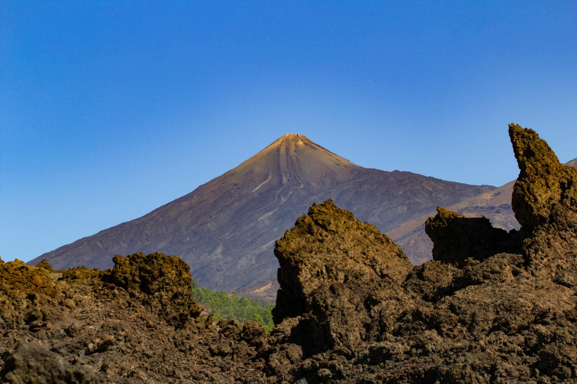 Luxury in Tenerife