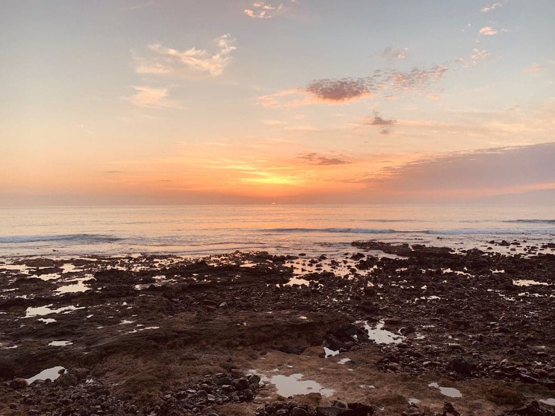 Playa de las Américas